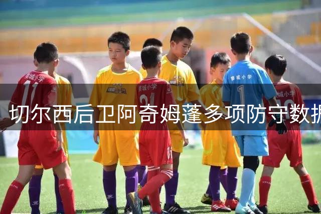 切尔西后卫阿奇姆蓬多项防守数据领跑全场