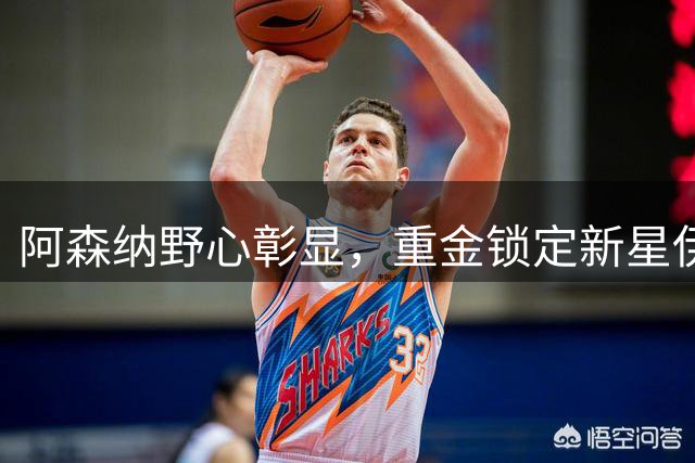 阿森纳野心彰显，重金锁定新星伊尔迪兹